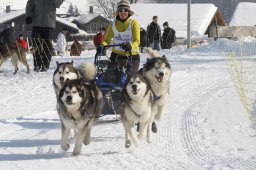 Lenk 2012 SM